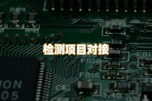 检测项目对接